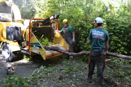 tree services Holly